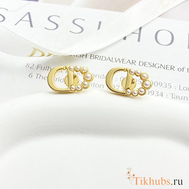 Dior Earrings 12 - 1