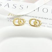 Dior Earrings 12 - 1