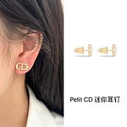 Dior Earrings 12 - 2