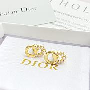 Dior Earrings 12 - 3