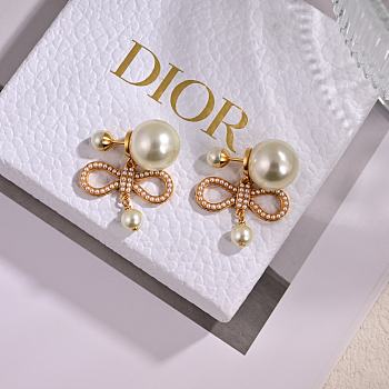 Dior Earrings 13