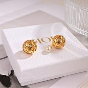 Dior Earrings 14 - 3