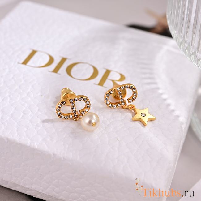 Dior Earrings 15 - 1