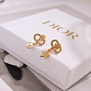 Dior Earrings 15 - 3