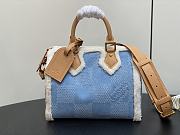 Louis Vuitton LV Speedy 25 Denim 25x15x15cm - 1