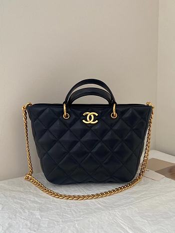 Chanel Vegetable Basketball Black 20x12.5x21cm