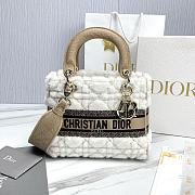 Dior Medium Lady D-Lite Bag Lambskin Shearling 24x20x11cm - 1