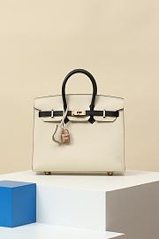 Hermes Birkin 25 Bag White Black Epsom Gold 25cm - 1