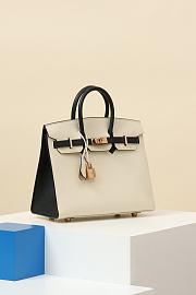 Hermes Birkin 25 Bag White Black Epsom Gold 25cm - 5