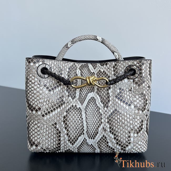 Bottega Veneta Andiamo Small Python Roccia 25x22x10.5cm - 1