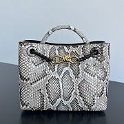 Bottega Veneta Andiamo Small Python Roccia 25x22x10.5cm - 1