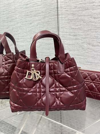 Dior Medium Toujours Bag Wine 28.5x19x21cm