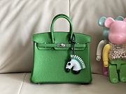 Hermes Birkin 25 Bag Green Togo Silver 25cm - 1