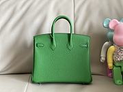 Hermes Birkin 25 Bag Green Togo Silver 25cm - 6