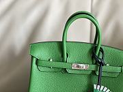 Hermes Birkin 25 Bag Green Togo Silver 25cm - 5