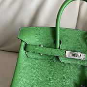 Hermes Birkin 25 Bag Green Togo Silver 25cm - 2