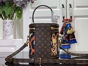 Louis Vuitton LV Cannes Scholarship 17x15x15cm - 3