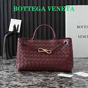 Bottega Veneta Small East/West Andiamo Red Wine 29x18x10cm - 1