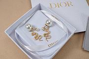 Dior Earrings 16 - 4