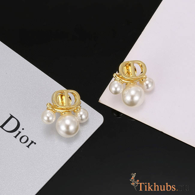 Dior Earrings 17 - 1