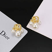 Dior Earrings 17 - 1