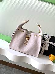 Chanel Cruise 25C Bag Light Pink Hobo 30x26x14cm - 1