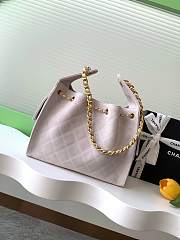 Chanel Cruise 25C Bag Light Pink Hobo 30x26x14cm - 3