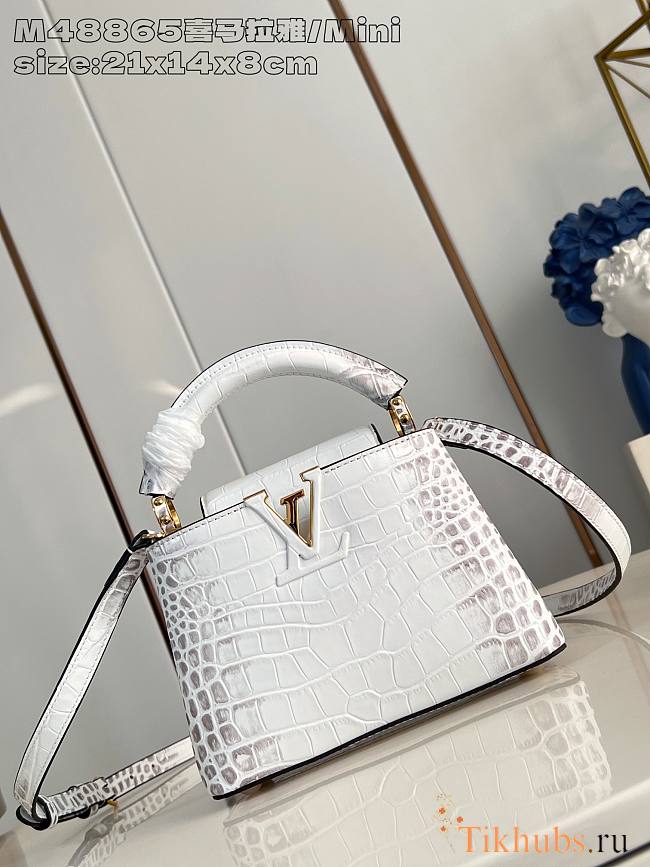 Louis Vuitton LV Mini Capucines White Crocodile 21x14x8cm - 1