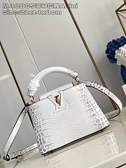 Louis Vuitton LV Mini Capucines White Crocodile 21x14x8cm - 1