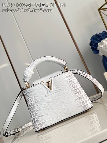 Louis Vuitton LV Mini Capucines White Crocodile 21x14x8cm