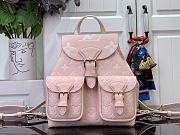 Louis Vuitton LV Backpack Backup Pink 20x22x14cm - 1