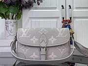 Louis Vuitton LV Diane Bag Grey 24x15x9cm - 1