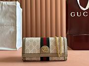 Gucci Ophidia Chain Beige Wallet 19x10x3.5cm - 1