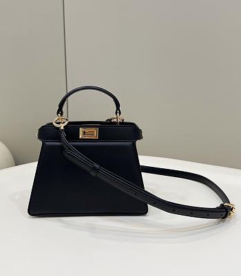 Fendi Peekaboo ISeeU Petite Black Bag 20x11x15cm