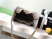 Chanel Cruise 25C Bag Grey Hobo 30x26x14cm - 5