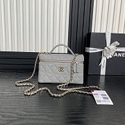 Chanel Vanity Case Grey Caviar 17x19.5x5cm - 1