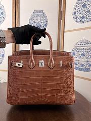Hermes Birkin 25 Bag Brown Crocodile Silver 25cm - 1