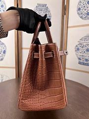 Hermes Birkin 25 Bag Brown Crocodile Silver 25cm - 6
