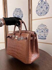 Hermes Birkin 25 Bag Brown Crocodile Silver 25cm - 2