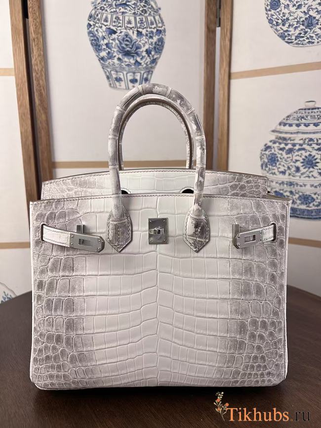 Hermes Birkin 25 Crocodile Himalayan Silver 25cm - 1