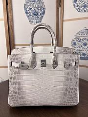 Hermes Birkin 25 Crocodile Himalayan Silver 25cm - 1