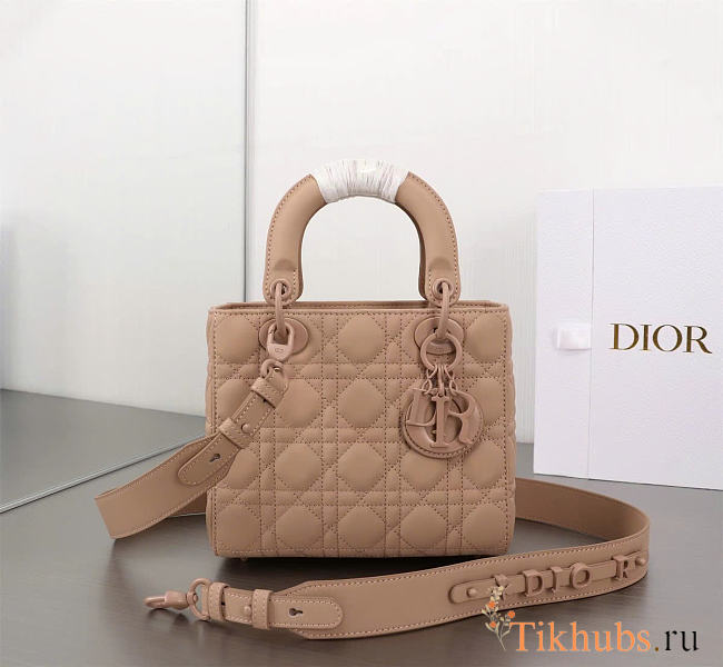 Dior Small Lady Bag Matte Pink 20cm  - 1