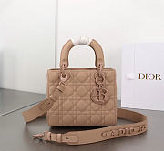 Dior Small Lady Bag Matte Pink 20cm  - 1