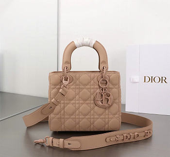 Dior Small Lady Bag Matte Pink 20cm 