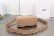 Dior Small Lady Bag Matte Pink 20cm  - 5