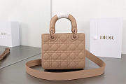 Dior Small Lady Bag Matte Pink 20cm  - 4