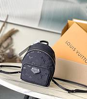 Louis Vuitton LV Palm Spring Mini Black 17x22x10cm - 1