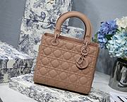 Dior Medium Lady Bag Pink Matte 24cm - 1