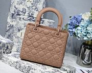 Dior Medium Lady Bag Pink Matte 24cm - 4
