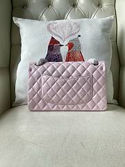 Chanel Flap Bag Light Pink Silver Lambskin 25cm - 2